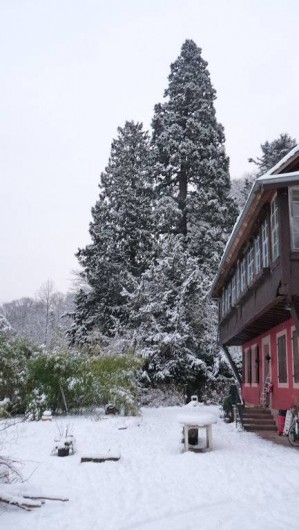 Location de vacances - Appartement à Munster