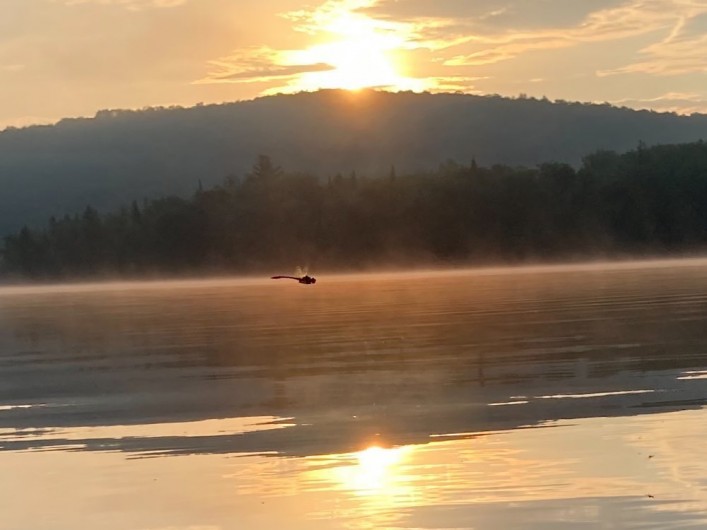 Location de vacances - Chalet à Saint-Léonard-de-Portneuf - libellule au lever du soleil sur le lac