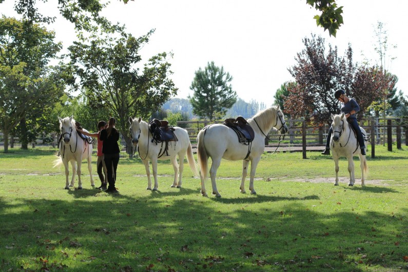 Location de vacances - Appartement à Gallician