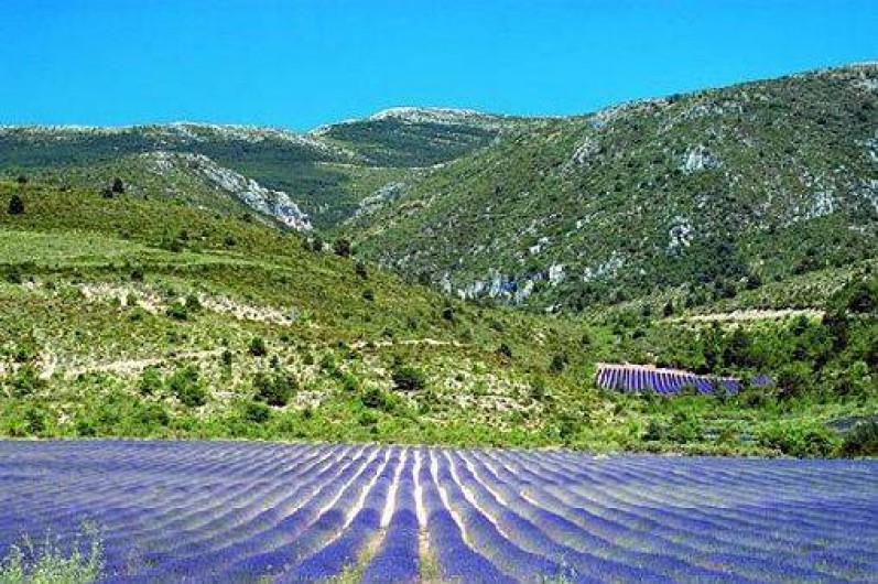 Location de vacances - Camping à Castellane
