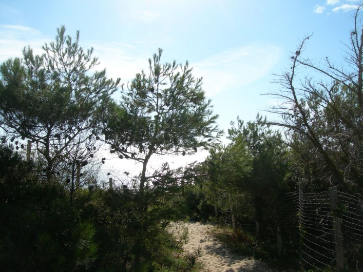 Location de vacances - Villa à La Couarde-sur-Mer