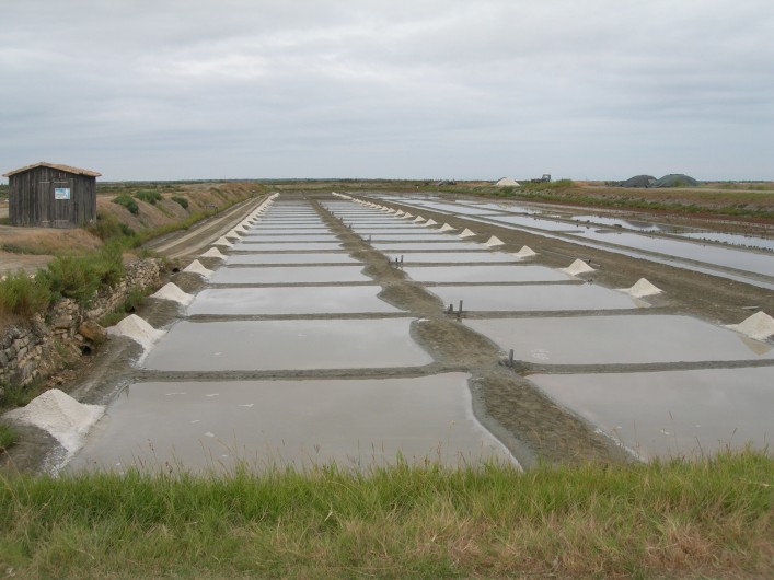 Location de vacances - Villa à La Couarde-sur-Mer
