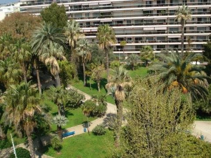 Location de vacances - Appartement à Juan les Pins - Jardin Pauline vu de la terrasse avant