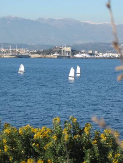 Location de vacances - Appartement à Juan les Pins - Antibes vu du Cap d'Antibes