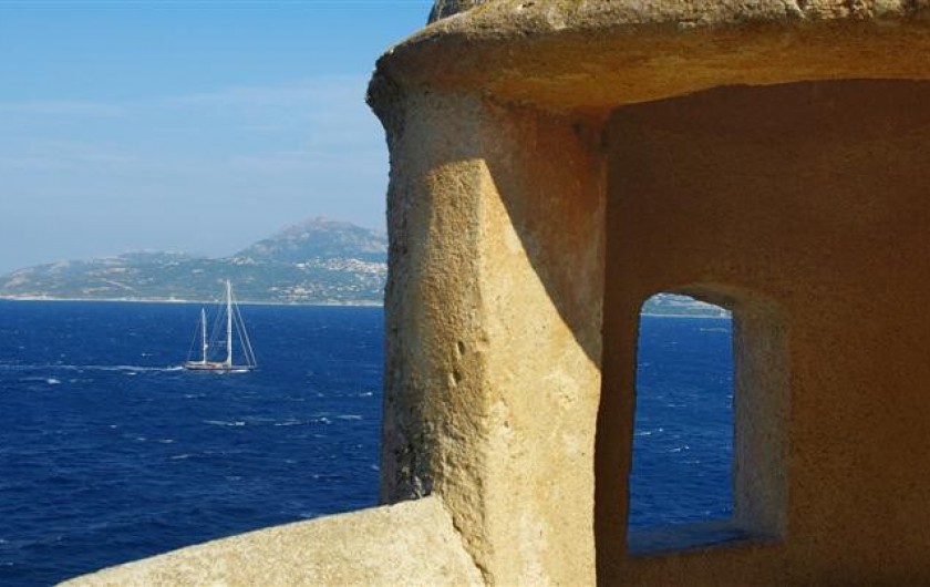 Location de vacances - Appartement à Calvi