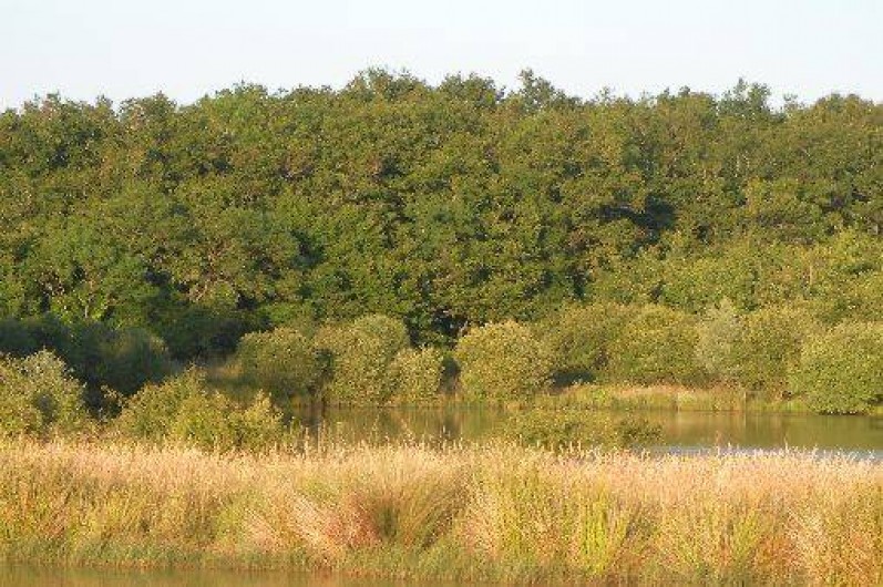 Location de vacances - Chambre d'hôtes à Châtillon-sur-Loire