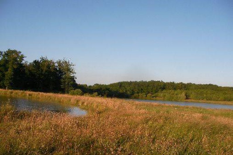 Location de vacances - Chambre d'hôtes à Châtillon-sur-Loire
