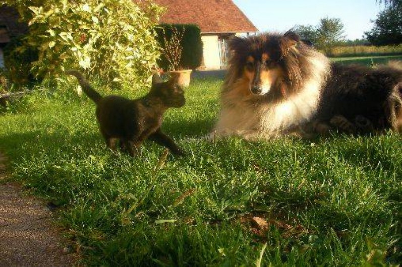Location de vacances - Chambre d'hôtes à Châtillon-sur-Loire