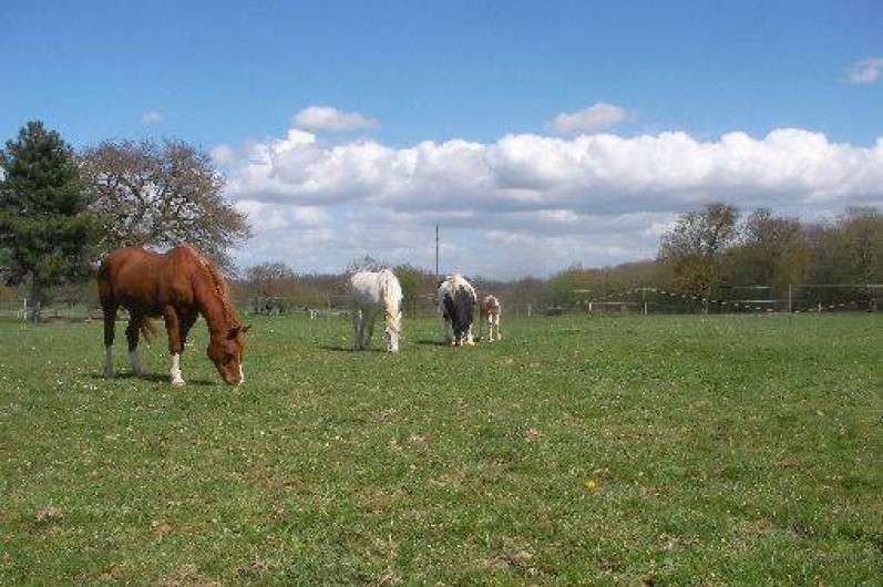 Location de vacances - Chambre d'hôtes à Châtillon-sur-Loire