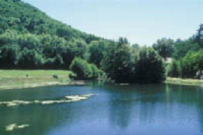 Location de vacances - Chalet à Murol