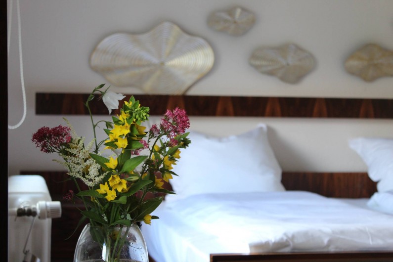 Location de vacances - Maison - Villa à Alsbach-Hähnlein - Lieu des rêves et nuages