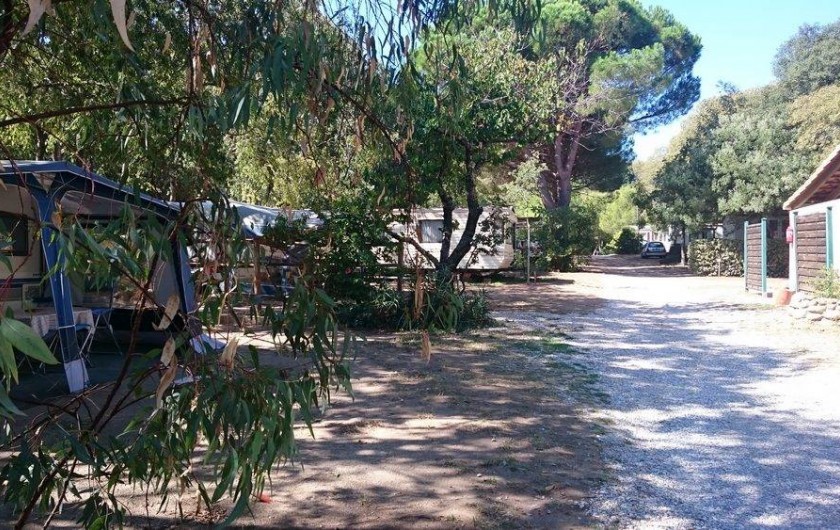 Location de vacances - Camping à Argelès-sur-Mer