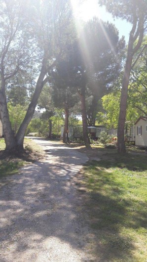 Location de vacances - Camping à Argelès-sur-Mer