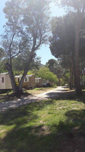 Location de vacances - Camping à Argelès-sur-Mer