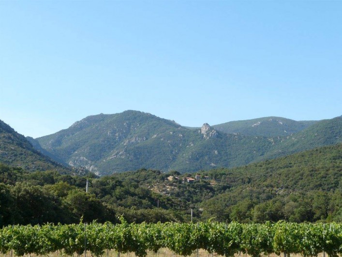 Location de vacances - Camping à Argelès-sur-Mer