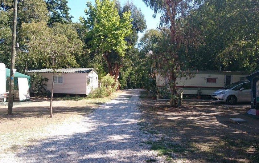Location de vacances - Camping à Argelès-sur-Mer