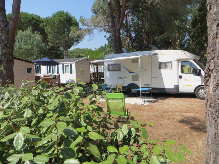 Location de vacances - Camping à Argelès-sur-Mer