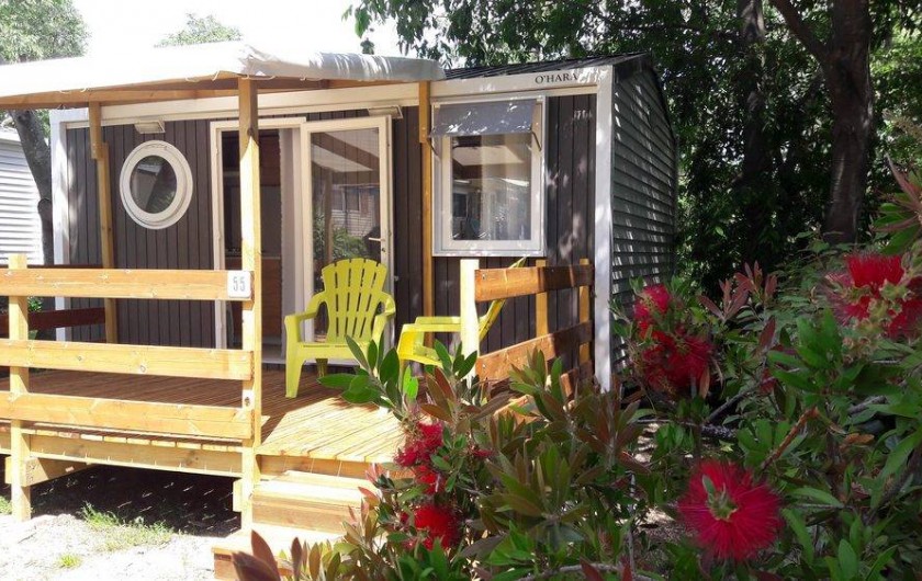 Location de vacances - Camping à Argelès-sur-Mer