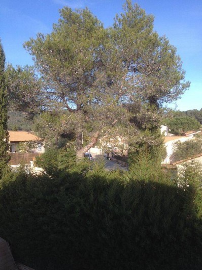 Location de vacances - Villa à Roquebrune-sur-Argens