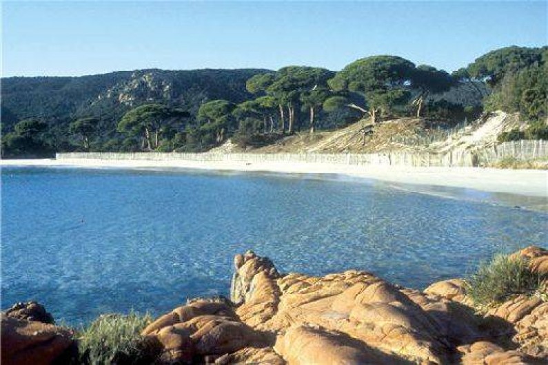 Location de vacances - Appartement à Porto-Vecchio