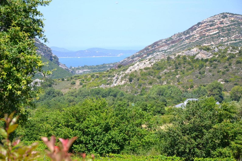 Location de vacances - Villa à Patrimonio