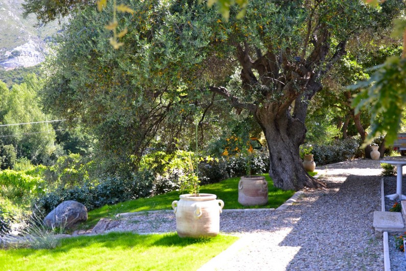 Location de vacances - Villa à Patrimonio