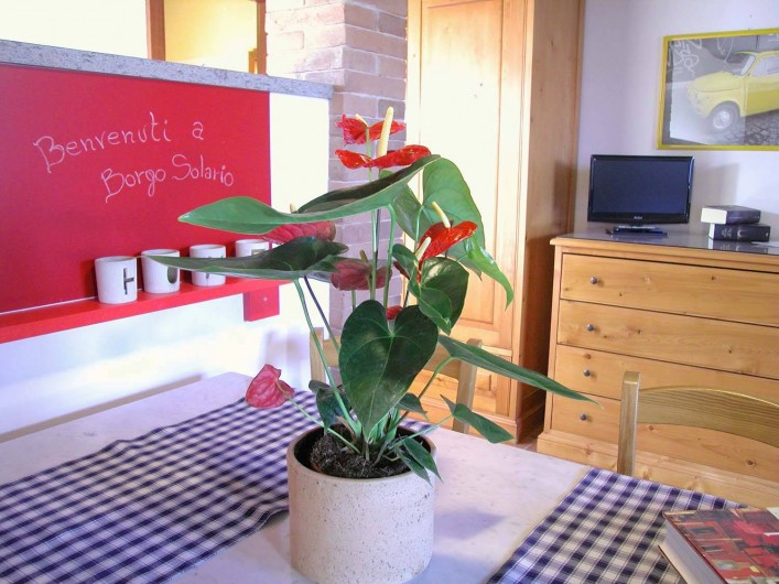 Location de vacances - Appartement à Castiglione del Lago - Séjour app. "Terra"