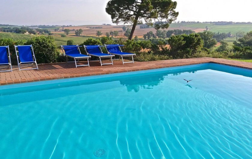 Location de vacances - Appartement à Castiglione del Lago - La piscine