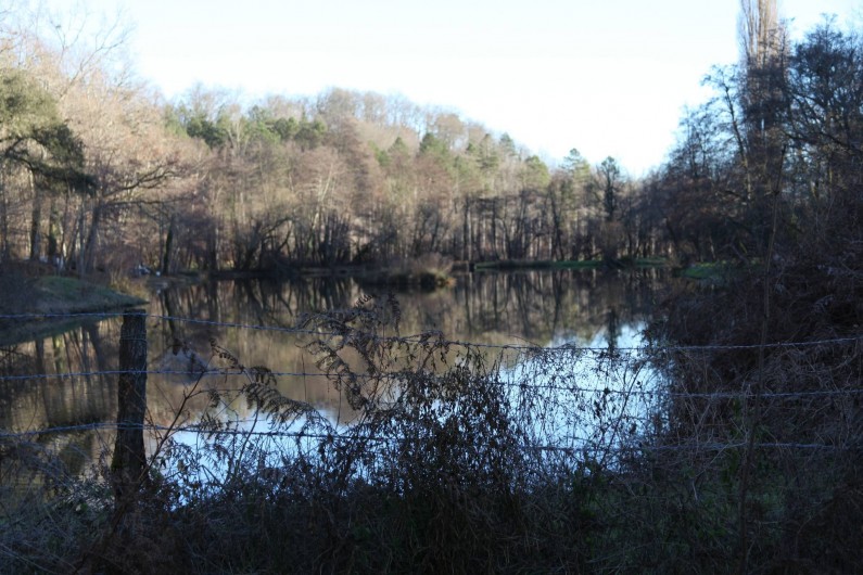 Location de vacances - Chalet à Pompiey - Lac pêche à la mouche