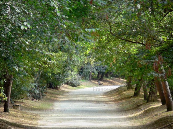 Location de vacances - Chalet à Pompiey - chemins
