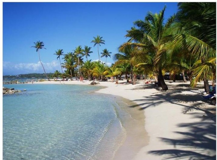 Location de vacances - Appartement à Sainte-Anne