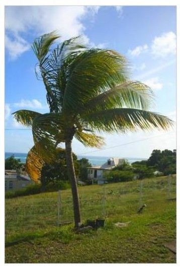 Location de vacances - Appartement à Sainte-Anne