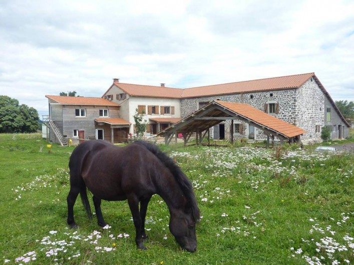 Location de vacances - Gîte à Coucouron - La Ferme du Grizzly, le parfait équilibre entre Nature et Découvertes