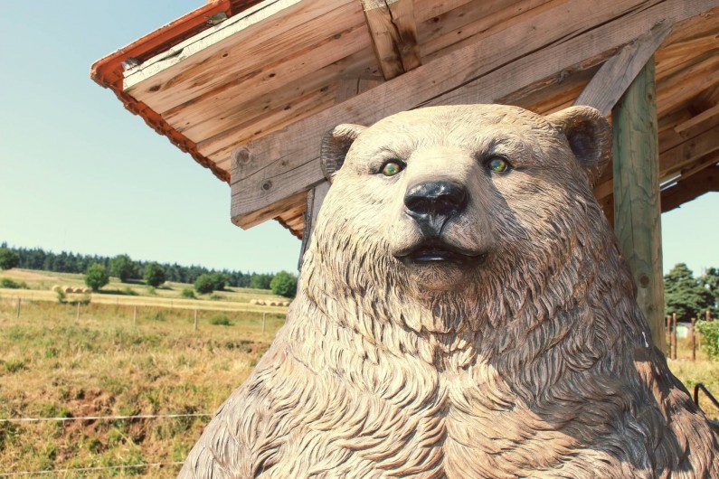 Location de vacances - Gîte à Coucouron - Le Grizzly vous accueille !