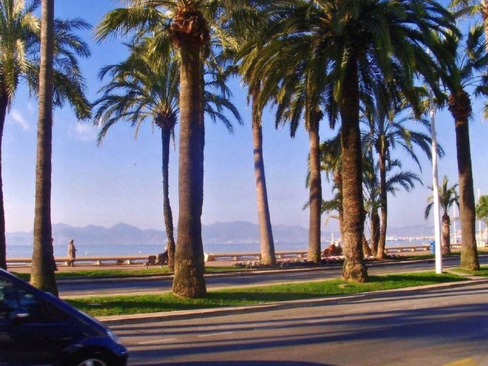 Location de vacances - Appartement à Cannes - Vue sur La Croisette
