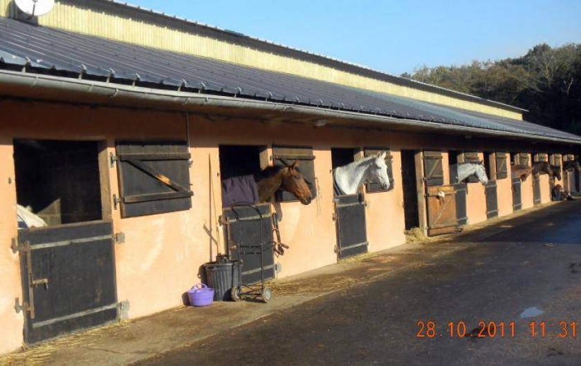 Location de vacances - Appartement à Villerville - promenade a cheval