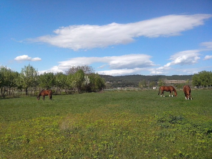 Location de vacances - Chambre d'hôtes à Villelaure - les prairies