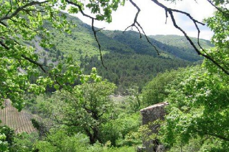 Location de vacances - Gîte à Castellet