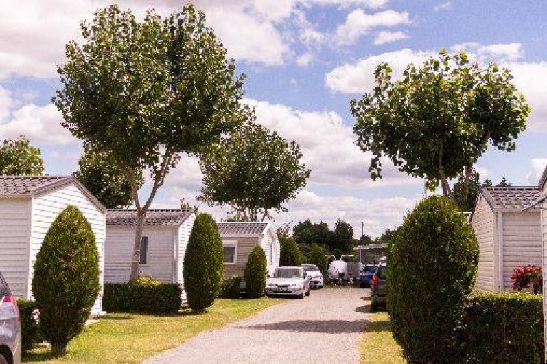 Location de vacances - Camping à Saint-Jean-de-Monts