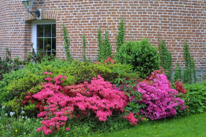 Location de vacances - Chambre d'hôtes à Bertrimont