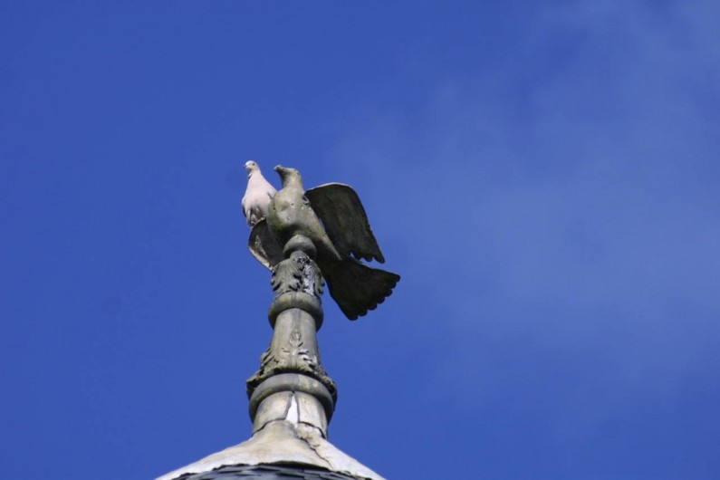 Location de vacances - Chambre d'hôtes à Bertrimont - HAUT COLOMBIER