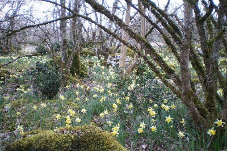 Location de vacances - Villa à Labastide-Murat