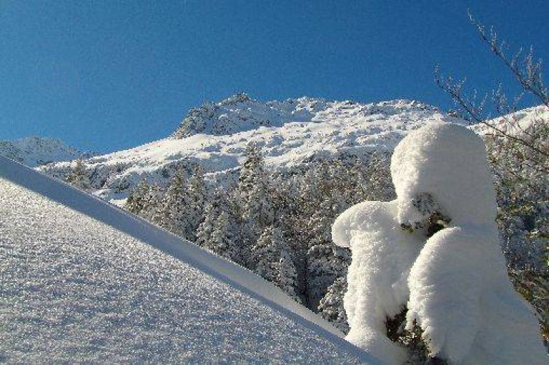 Location de vacances - Gîte à Seix