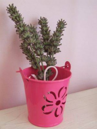 Location de vacances - Chambre d'hôtes à Camoël - Les salicornes