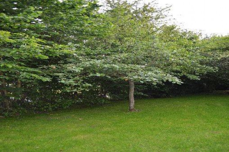 Location de vacances - Gîte à Saint-Malo