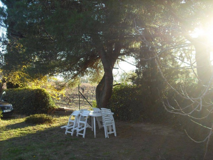 Location de vacances - Mas à Vaison-la-Romaine