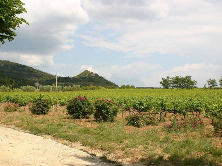 Location de vacances - Mas à Vaison-la-Romaine