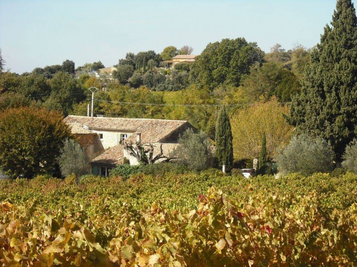 Location de vacances - Mas à Vaison-la-Romaine