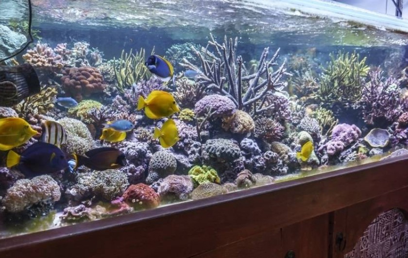 Location de vacances - Chambre d'hôtes à Carnas