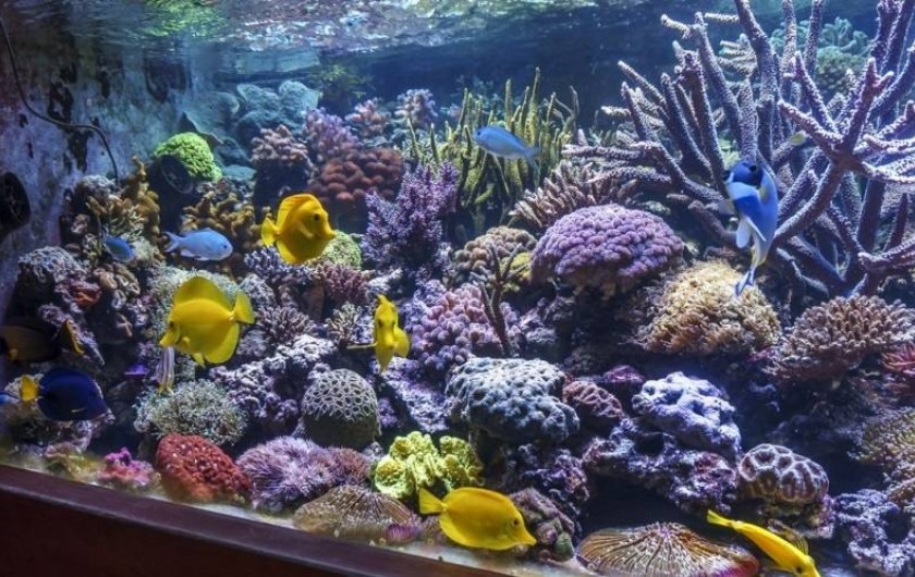 Location de vacances - Chambre d'hôtes à Carnas